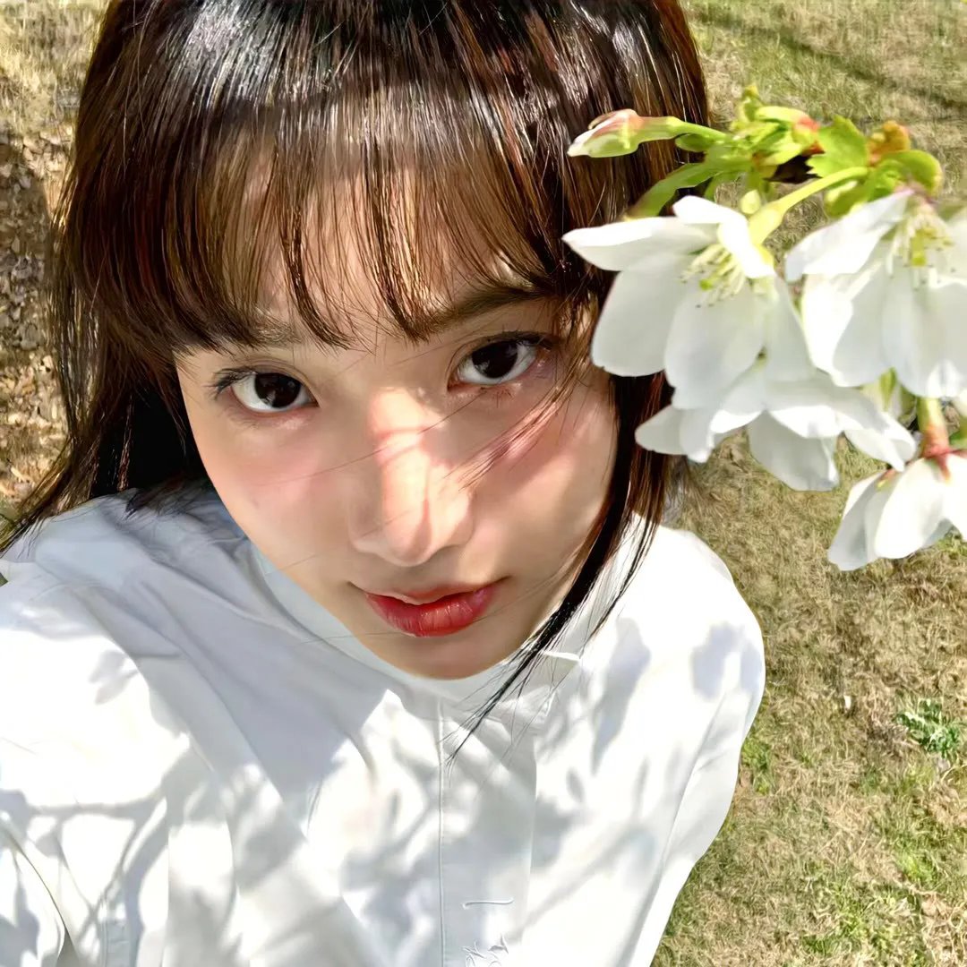 折翼鸟